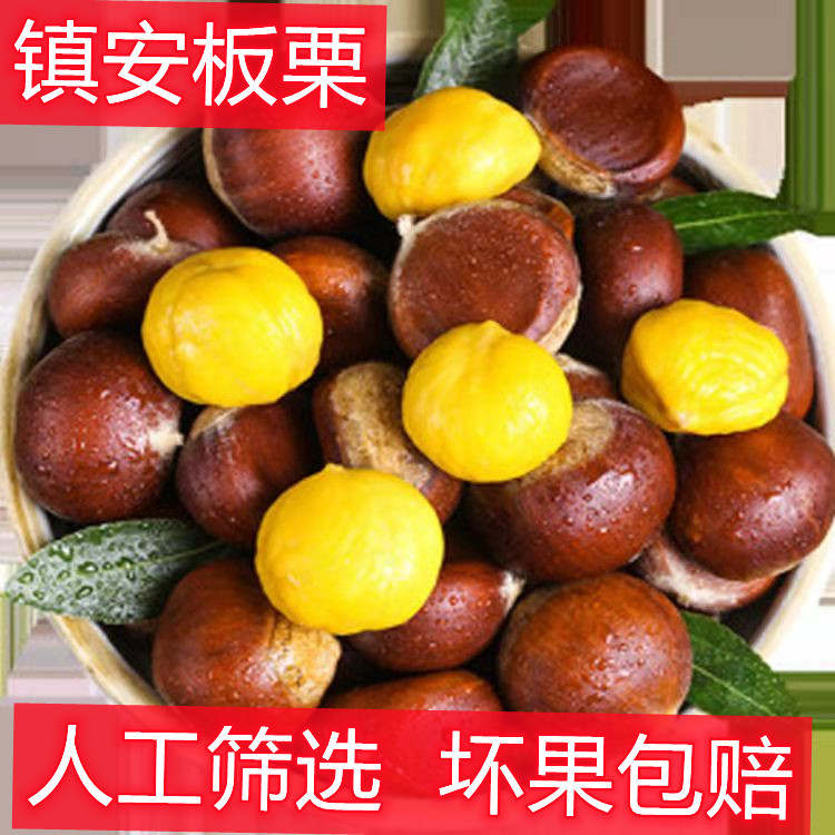 镇安板栗现摘现发