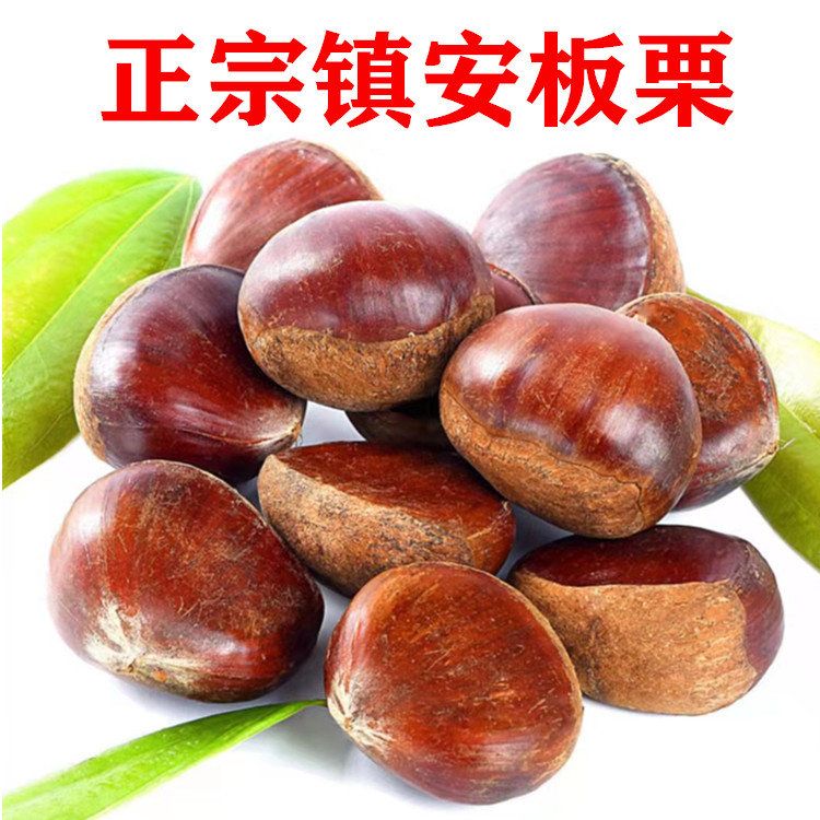 镇安板栗生