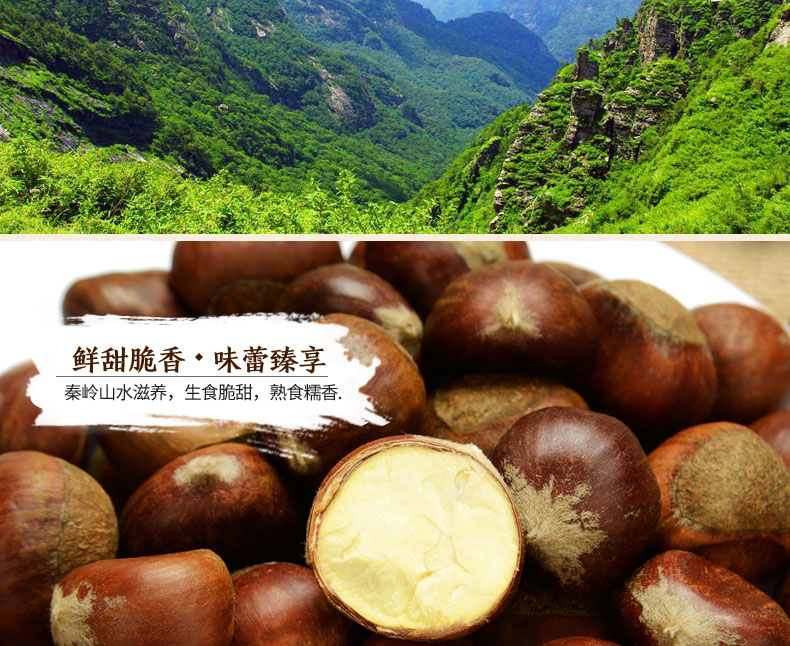 当季新鲜板栗