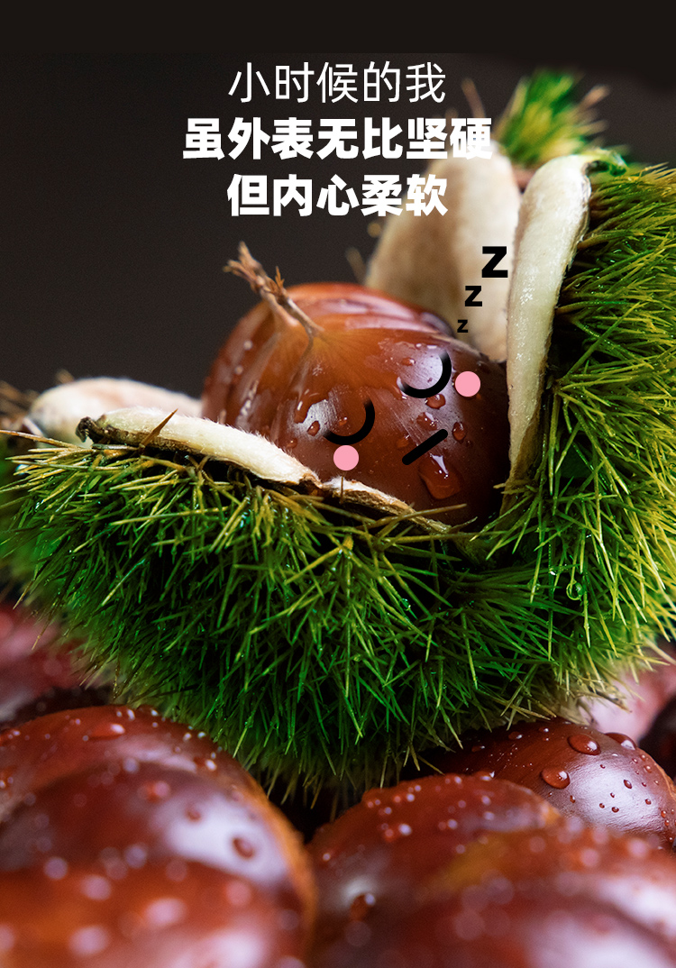 1-231221002R33T.png
